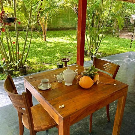 Jasmin Homestay Marakolliya タンガラ エクステリア 写真