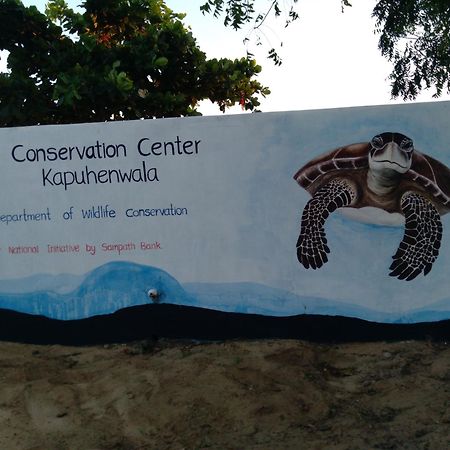 Jasmin Homestay Marakolliya タンガラ エクステリア 写真