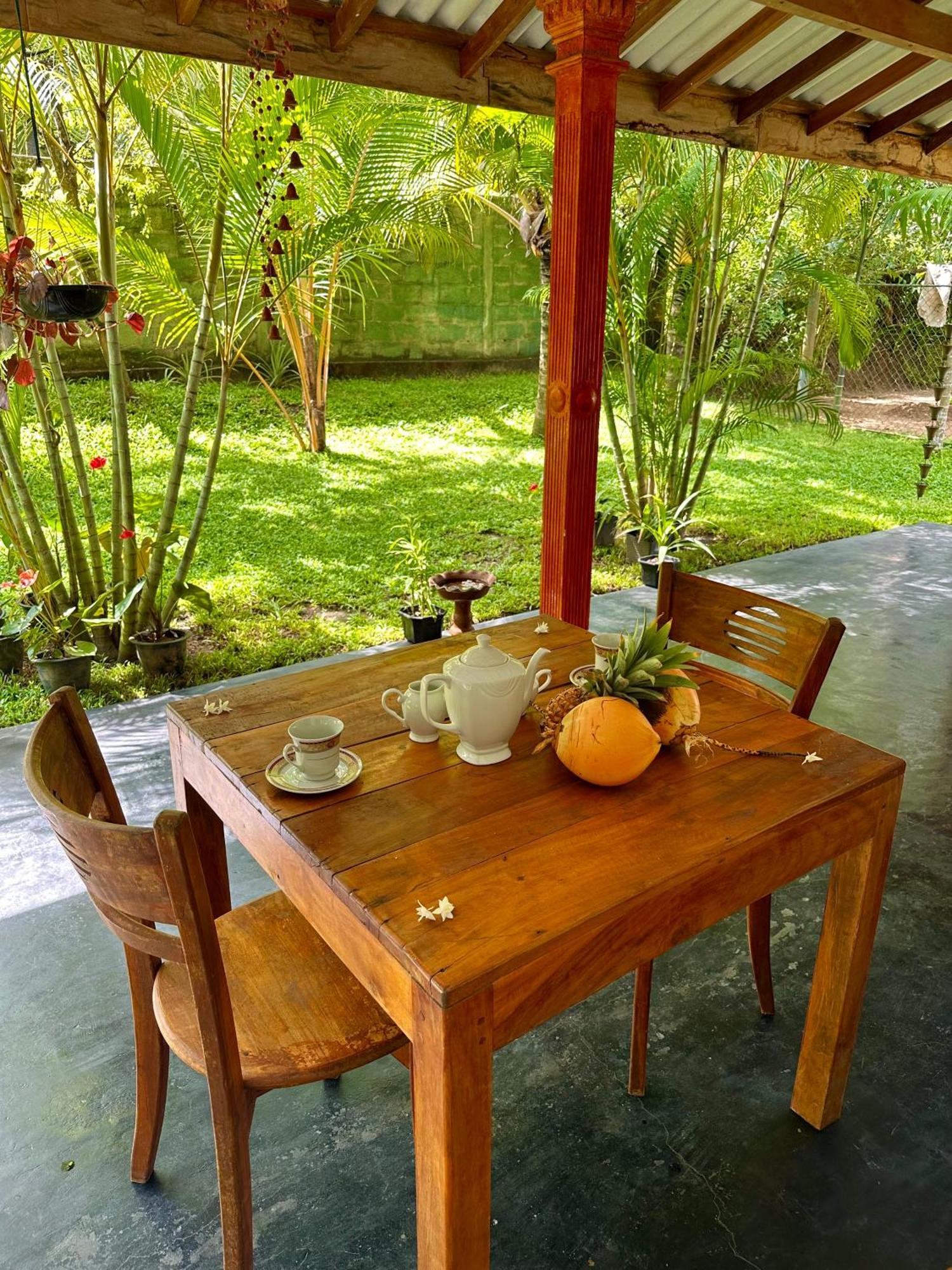 Jasmin Homestay Marakolliya タンガラ エクステリア 写真