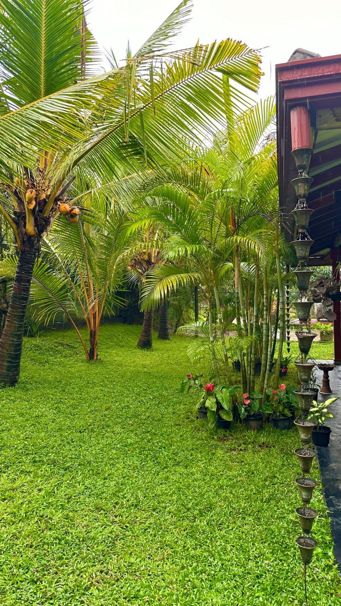 Jasmin Homestay Marakolliya タンガラ エクステリア 写真