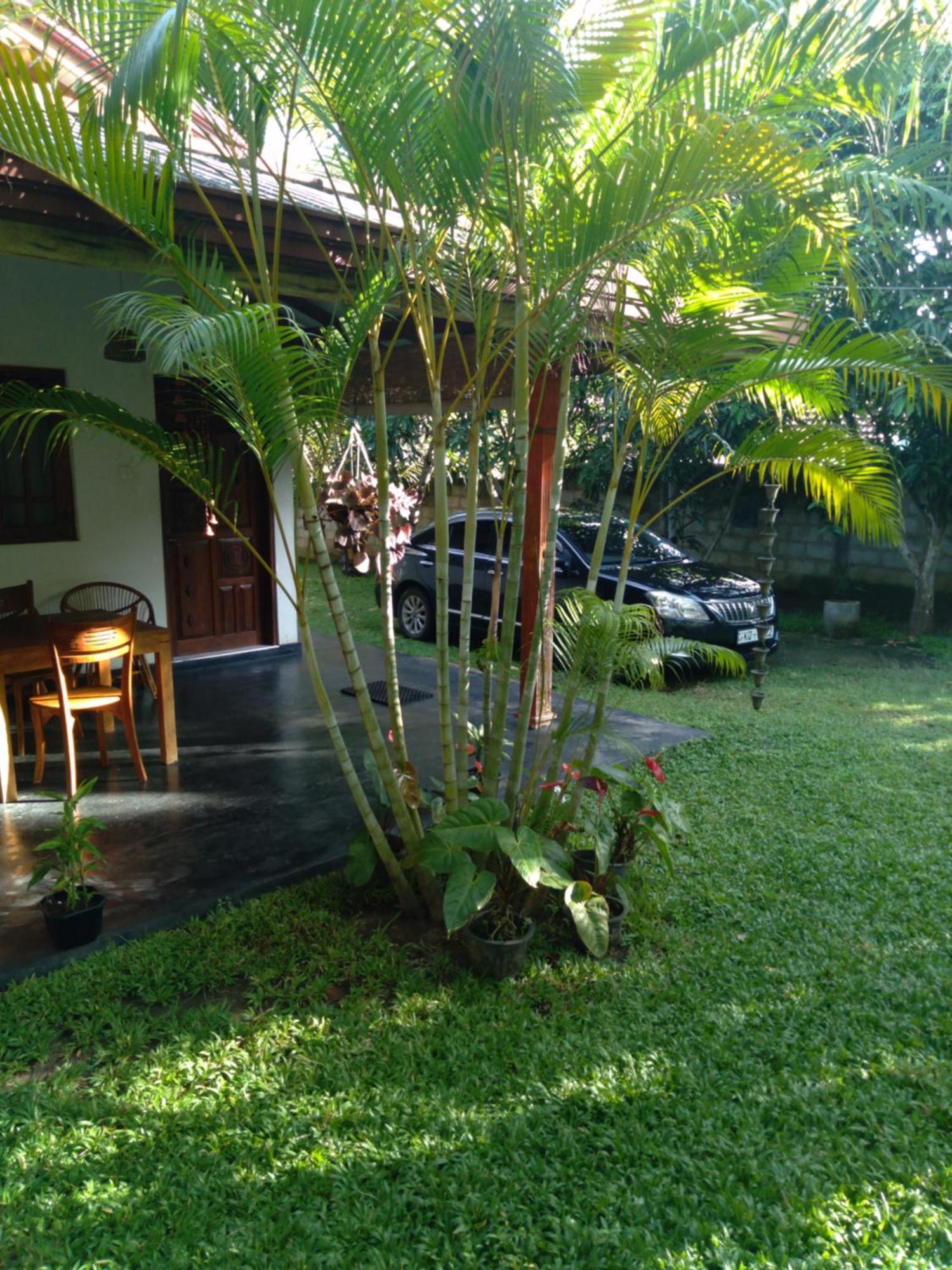 Jasmin Homestay Marakolliya タンガラ エクステリア 写真